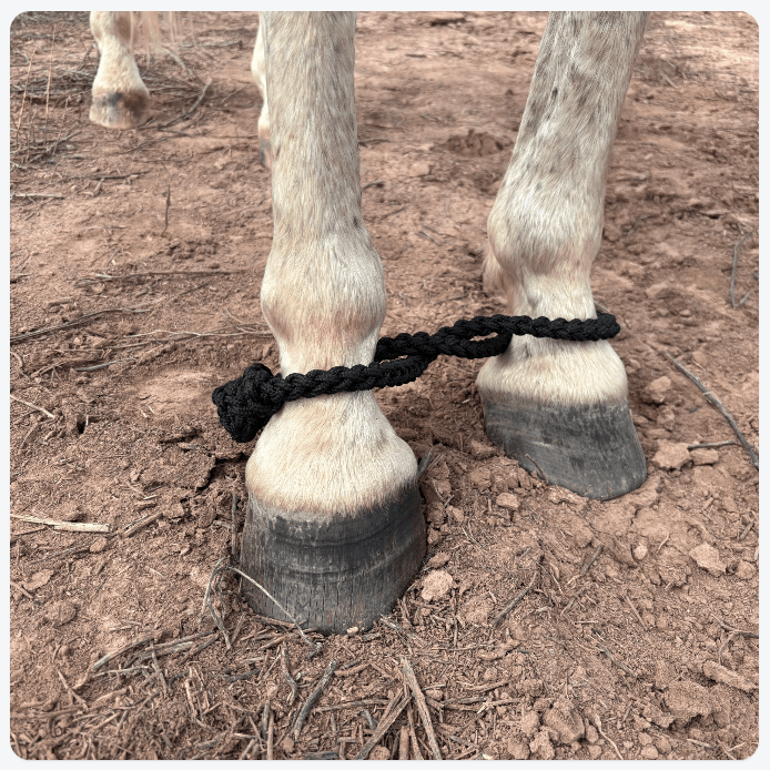 Braided Hobbles